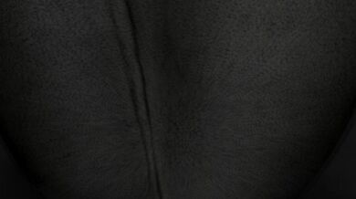 'Hardcore Fucking in the Kitchen - Upside Down Version'