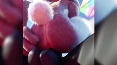 "The Sly Fox and the New Bitch: A Judy Hopps PMV"