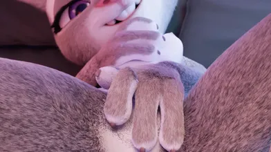 "The Sly Fox and the New Bitch: A Judy Hopps PMV"