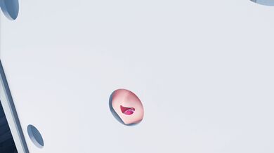 'Mona's Glory Hole Adventure'