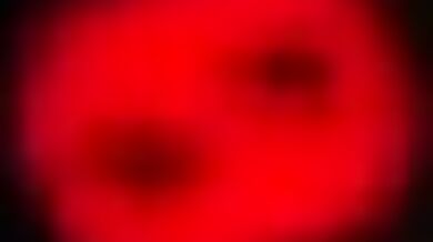 '"Captive Desires" - The Most Erotic and Detailed Animations You Will Ever See!'