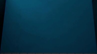 "The delightful Miss 2: A day in the life of a sexy secretary"