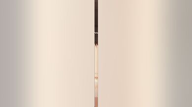 Rewritten as: 'The Tale of Suruga - Forbidden Desires'