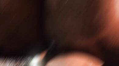 '"No Vanilla (Futanari PMV)" - Frowa"