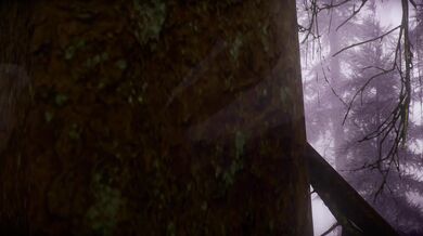 "The Misty Edge: A Hentai Adventure"