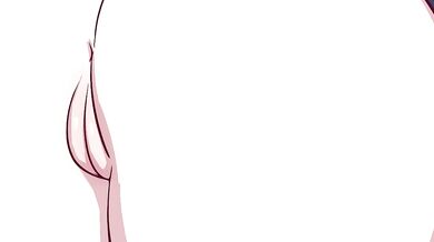 Mahou Final [Nude] Junkpuyo