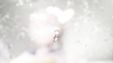 "My Sensei's Toilet Adventure - A Hentai Journey of Self-Discovery and Pleasure"