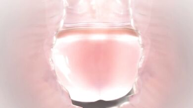 'Sexual Excursions with a Naughty Maid: Tousyu Live A Hero!'