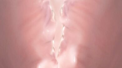 'Sexual Excursions with a Naughty Maid: Tousyu Live A Hero!'