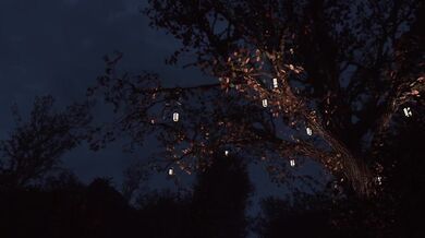 The ninja trio of Ryu, Hayabusa and Momiji get down and dirty in the middle of the night after a long day of spying and assassination.
