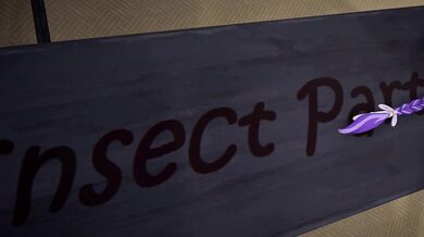 "The Insect Queen's Sexual Awakening: Phu Tho 2K"