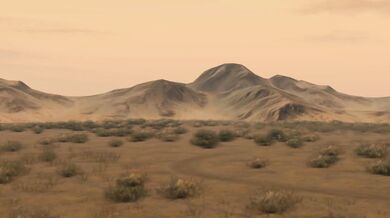 "Wild, Rough and Uncut - The Roadside Romp"