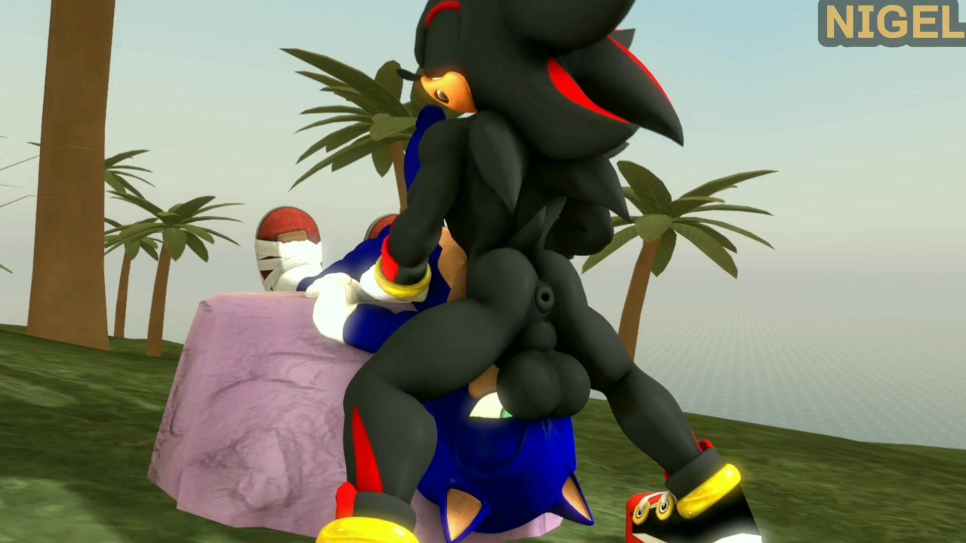Hentai Porn - Sonic X Shadow Sonadow Compilation - 18.
