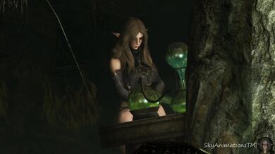 'The Unfortunate Mishap of the Magic Doggery'