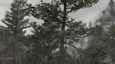 "Lost Innocence: Fauna and the Dawn of Perversion"