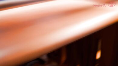 'The Hentai Vet: Anal Examination with BJ and Doggy Style'