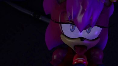 'Sexual Sonia and Sexy Sonic'