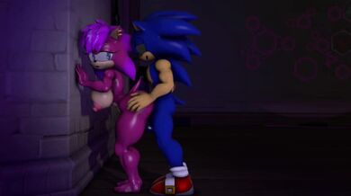 'Sexual Sonia and Sexy Sonic'