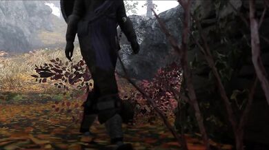 "The Forbidden Love Between a Fake Dunmer Guard and His Master's Wife"