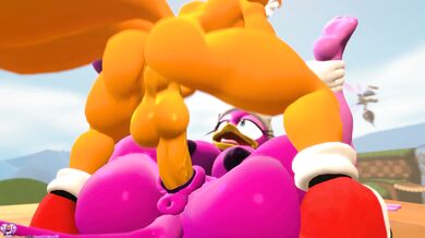 Watch a couple get intimate on a beach while their pets join in the fun!