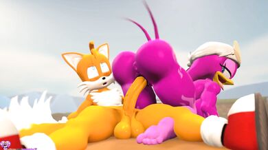 Watch a couple get intimate on a beach while their pets join in the fun!