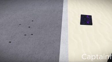 "Pitching the Ball: A Love Story in the Football Field"