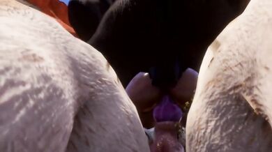 'Busty Blonde Loves Everyone Inside Her'