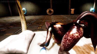 "Check into the Elera Hotel for a sexy wet t-shirt experience!"