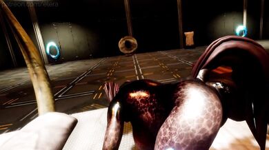 "Check into the Elera Hotel for a sexy wet t-shirt experience!"