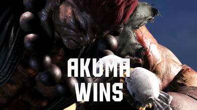 "Sexy MMA fighters take on busty Japanese anime girls "