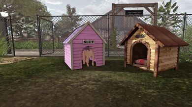 'For*ced Into the Doghouse'