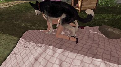 'For*ced Into the Doghouse'