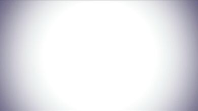 'The Big Fat Cougar and The Busty Teen'