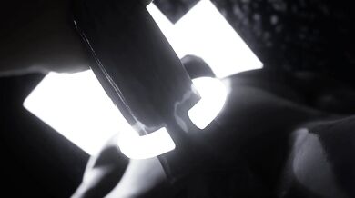 'The Big Fat Cougar and The Busty Teen'