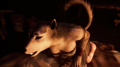 'Sexy Little Red Riding Hoodie'