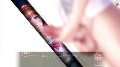 'The Awakening of the Sexual Desires - A Memoir of Pleasure and Passion'