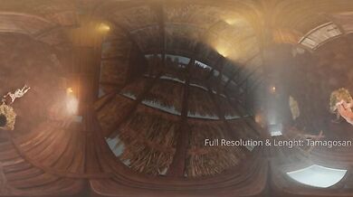 'The Mingling of Lee and Cass with the Help of Hucow Company: A Virtual Reality Experience'