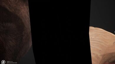 Rewritten: "Savage Nature: Aoi - Exploring the Wild"