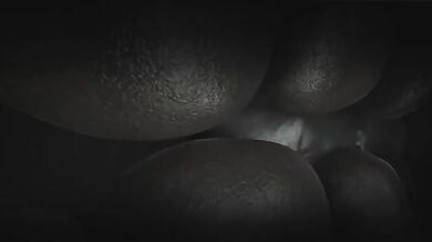 'The Temptation of a Masked Seductress and a Naughty Catgirl'