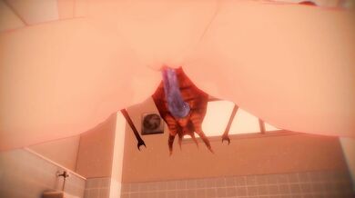 'Lustful Ladybugs: The Search for Sexy Insects'