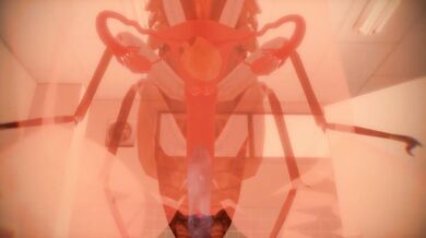 'Lustful Ladybugs: The Search for Sexy Insects'