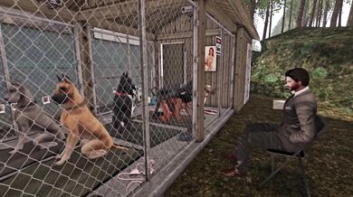 "Bound and Confined: A Hentai Jailhouse Romp"