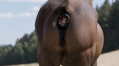 "The Princess' Final Moment of Pleasure: A Royal Hentai Adventure [Volanare1]"