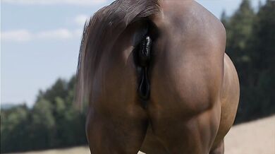 "The Princess' Final Moment of Pleasure: A Royal Hentai Adventure [Volanare1]"