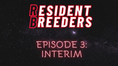 "Newlywed Nightmare: Interim (Episode 3)"