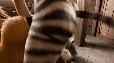 Matt Lion and Zebra's passionate love making in slow motion!