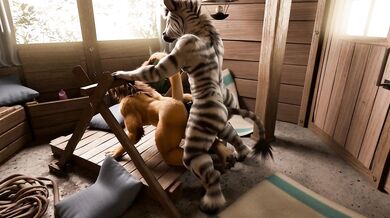 Matt Lion and Zebra's passionate love making in slow motion!