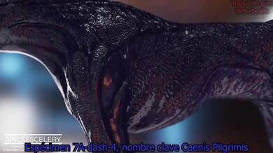 'The Wolf and the She-Wolf: A Hentai Compilation'