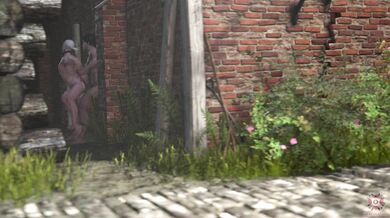 'The Witcher and the Dark Alley Fuck'