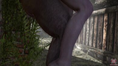 'The Witcher and the Dark Alley Fuck'